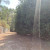 alamacén aperos forestales