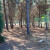 alamacén aperos forestales