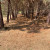 alamacén aperos forestales
